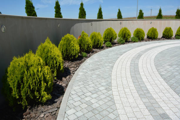 Reasons to Select Us for Your Driveway Paving Requirements in Cordova, NC